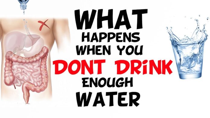 What happens when you don't drink enough water each day