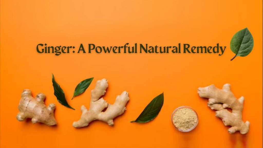 Spice Up Your Life with Ginger! The Ultimate Guide to the Benefits of This Powerful Root