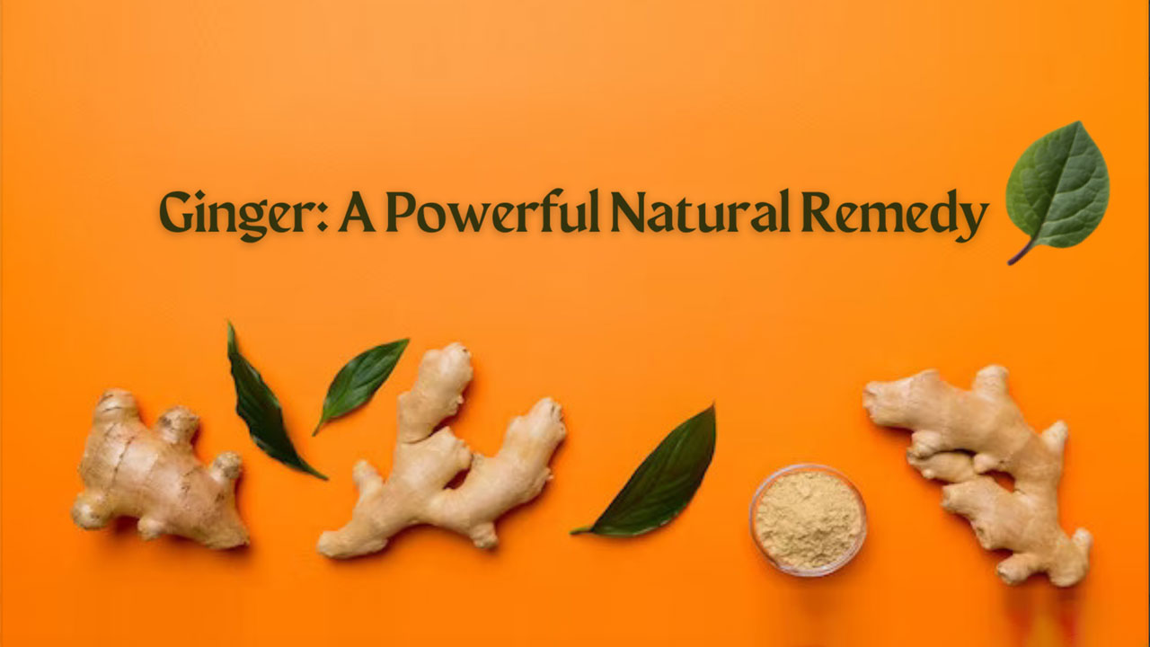 Spice Up Your Life with Ginger! The Ultimate Guide to the Benefits of This Powerful Root